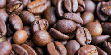 Ultimate Guide to Coffee Gear Essentials