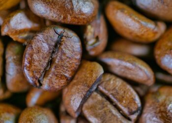 Unveiling the Secrets of Coffee Beans
