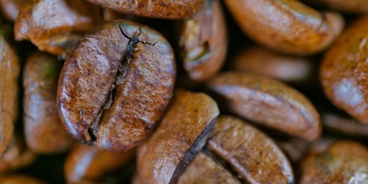 Unveiling the Secrets of Coffee Beans