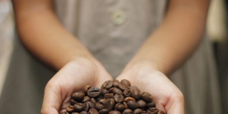 Exploring the World of Coffee-Based Beverages