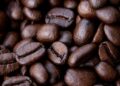 Awakening Aroma: Exploring the World of Exotic Coffee Beans
