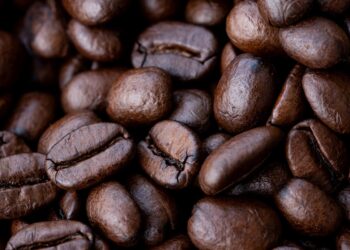 Awakening Aroma: Exploring the World of Exotic Coffee Beans