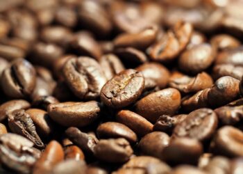 Exploring Artisanal Elegance: The Craft of Manual Coffee Brewing