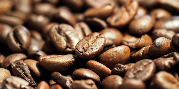 Exploring Artisanal Elegance: The Craft of Manual Coffee Brewing