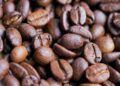 Mastering the Art of Coffee: Essential Tips for a Perfect Brew