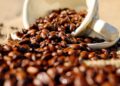 Exploring the World of Coffee: From French Press to AeroPress