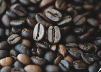 Mastering the Craft: Secrets of Traditional Coffee Brewing