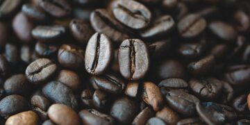 Mastering the Craft: Secrets of Traditional Coffee Brewing