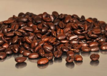 Mastering the Art of Coffee Bean Roasting