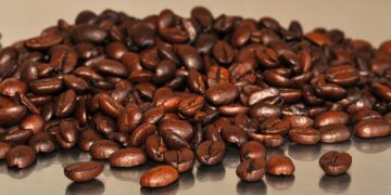 Mastering the Art of Coffee Bean Roasting