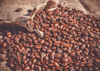 Exploring the Depths: Unveiling the Rich Complexity of Dark Roast Beans