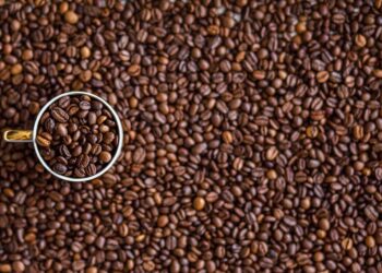 Mastering the Art of the Coffee Percolator