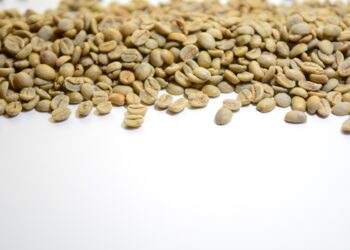 Exploring the Global Journey of Coffee Beans