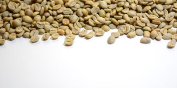 Exploring the Global Journey of Coffee Beans