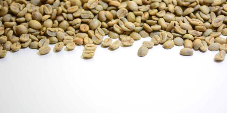 Exploring the Global Journey of Coffee Beans