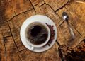 From Bean to Cup: Exploring the Basics of Coffee Making
