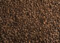 Exploring the Symphony of Coffee Bean Flavors: A Journey From Robust to Subtle