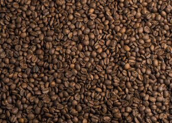 Exploring the Symphony of Coffee Bean Flavors: A Journey From Robust to Subtle