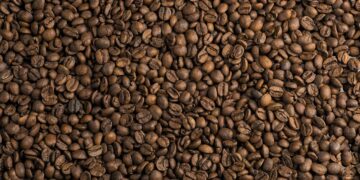 Exploring the Symphony of Coffee Bean Flavors: A Journey From Robust to Subtle