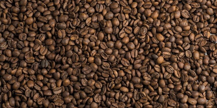 Exploring the Symphony of Coffee Bean Flavors: A Journey From Robust to Subtle