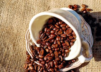 Unlocking the Aroma: The Journey of Organic Coffee Beans