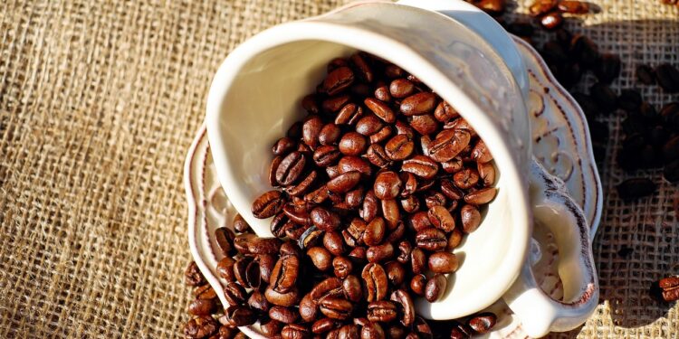Unlocking the Aroma: The Journey of Organic Coffee Beans