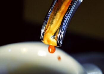 From Espresso to French Press