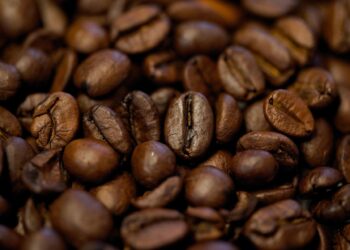 Exploring the Unique Flavor Profiles of Light Roast Beans
