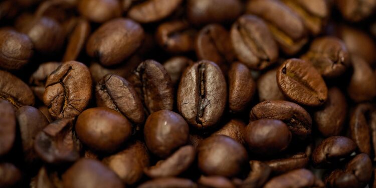 Exploring the Unique Flavor Profiles of Light Roast Beans