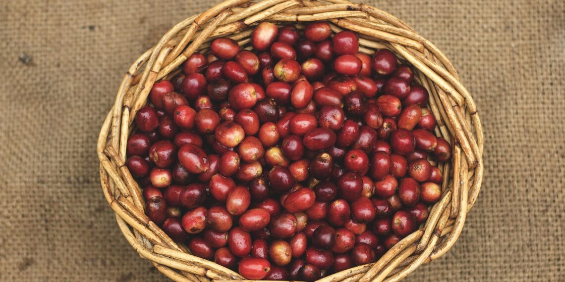 Unlocking the Aroma: Secrets of High-Quality Coffee Beans