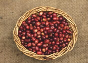 Unlocking the Aroma: Secrets of High-Quality Coffee Beans