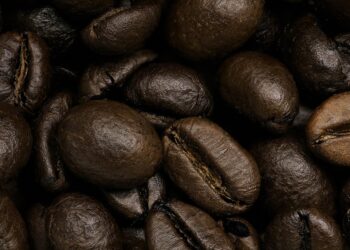 Exploring the World of Coffee Beans: A Guide to Varieties and Flavors