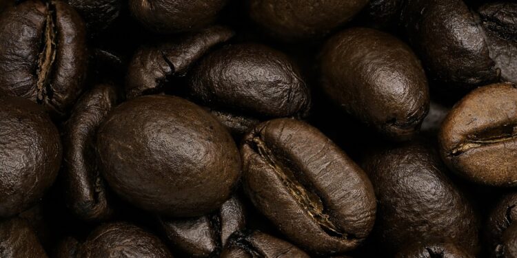 Exploring the World of Coffee Beans: A Guide to Varieties and Flavors